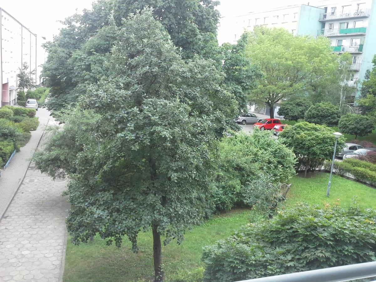 3030 Jana Spychalskiego 32 - Tanie Pokoje W Apartamencie - Samodzielne Zameldowanie - Self Check In 波兹南 外观 照片